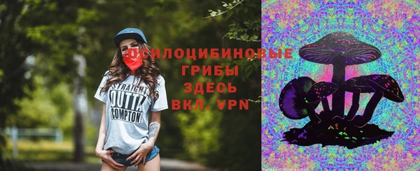 мдма Новозыбков
