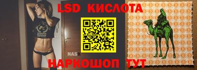 ALPHA PVP Кандалакша