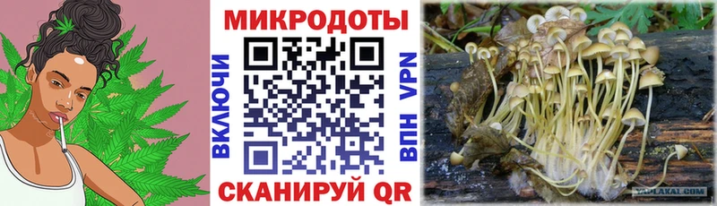 Галлюциногенные грибы Cubensis закладки Красноярск