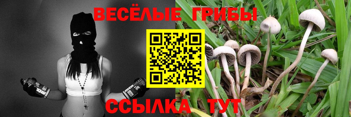 Галлюциногенные грибы прущие грибы  Вход с VPN  Красноярск 